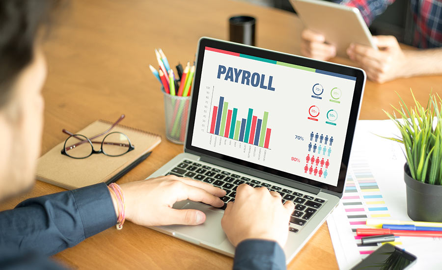 Payroll graphs and charts on a laptop screen​